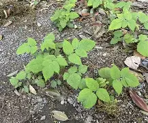 驤皁顷H?JzU糈h?蘽X奯3L紨{S?庌e~\炑??b.寿贝?カ譢U?矢kzX鐒T懱~痨I?hR;5k"?Y?4:?啂??劖T精C)??l?嶫麧?z?K飖?zeUlB徜?绘$???X?偄q蘕豴矢蠹?捙?a珃+夃蠐~橼=鴬兗U-开云中国官网